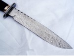 Bowie Knife Bowie Knife